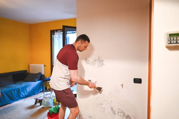Best Residential Mold Remediation in Chevy Chase, MD